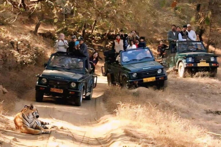 Sawai Madhopur: Ranthambore National Park Guided Jeep Safari - What Makes This Safari Stand Out?