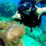 Scuba Diving in Tribe Gate - The Marine Environment of Tribe Gate