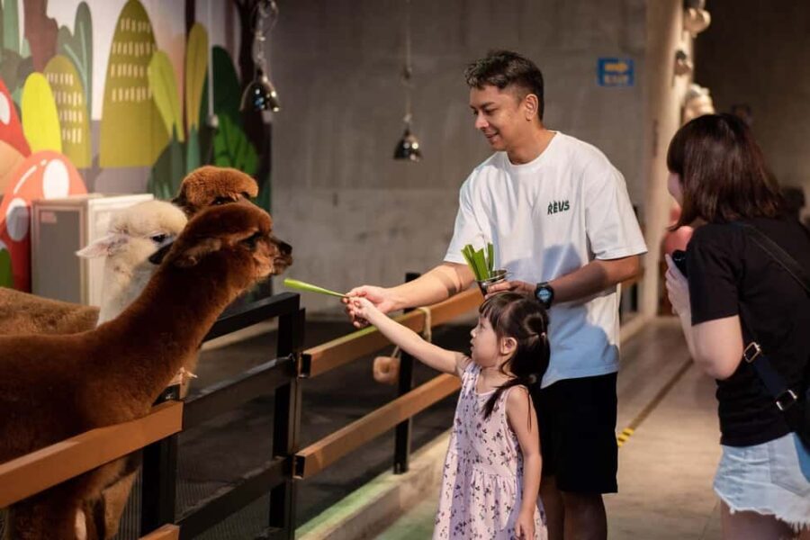 Selangor : Just Farm at Just Pets Megastore Ticket - The Value of a Short, Kid-Friendly Farm Experience
