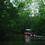 Semporna: Proboscis Monkey & Firefly Cruise with Dinner - Pricing & Value