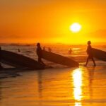 Seoul: BTS Gangneung Fan Tour & Ulleung Island Escape - What to Expect from the Tour