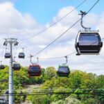 Seoul: DMZ Guided Tour with Suspension Bridge and Gondola - How the Tour Works in Practice