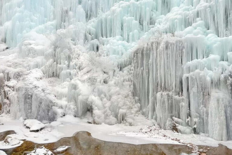 Seoul: Eobi+Nami+Hanbok(+RailBike or Strawberry Options)Tour - Transport, Schedule, and Group Dynamics