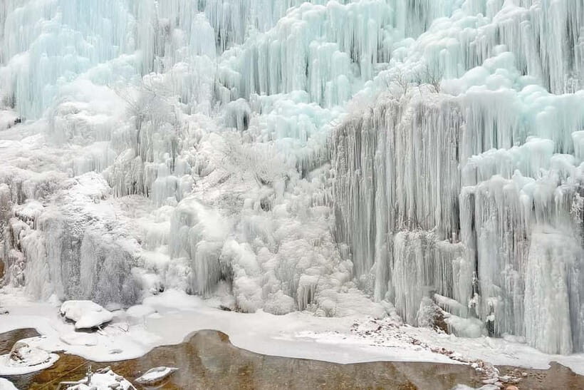 Seoul: Eobi+Nami+Hanbok(+RailBike or Strawberry Options)Tour - Transport, Schedule, and Group Dynamics