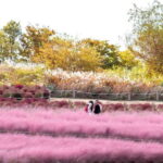 Seoul Full-Day City Tour: Hanok Village, Scenic Routes - A Full Breakdown of the Seoul Full-Day Tour