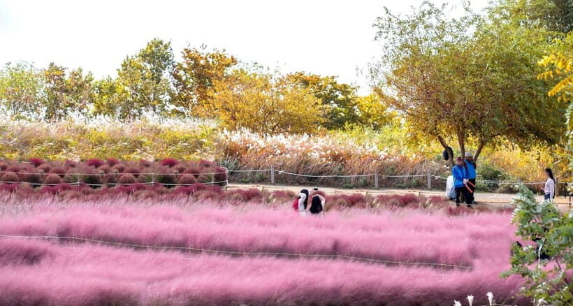 Seoul Full-Day City Tour: Hanok Village, Scenic Routes - A Full Breakdown of the Seoul Full-Day Tour