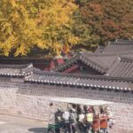 Seoul: Guided Tram Tour with Snacks and Hidden Alleys - Why This Tour Is a Great Value
