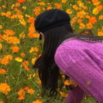 Seoul: Mt. Seorak & Autumn Flower Festival - Exploring the Itinerary and Highlights