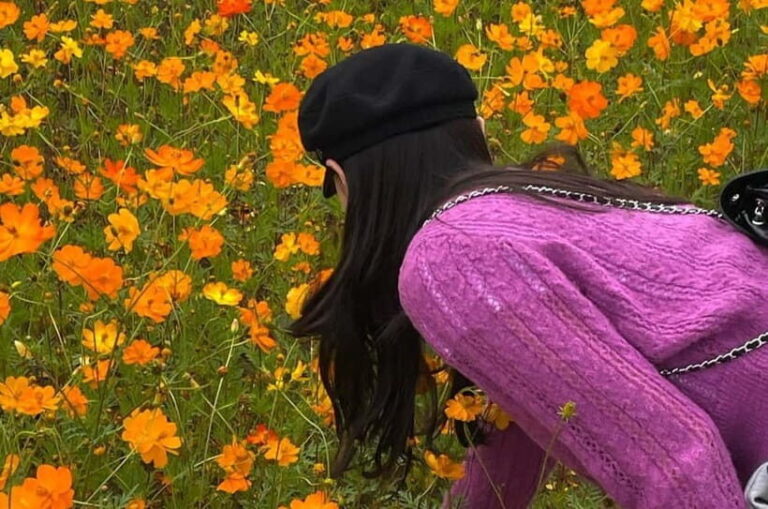 Seoul: Mt. Seorak & Autumn Flower Festival - Exploring the Itinerary and Highlights