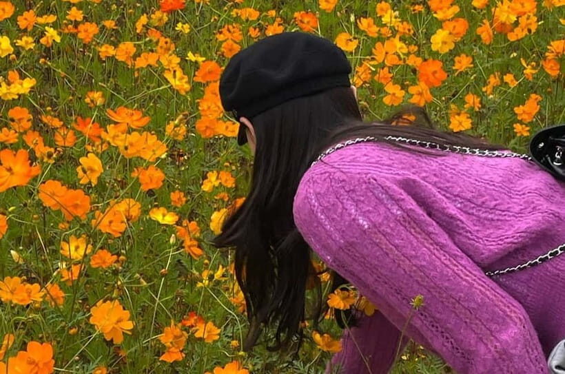 Seoul: Mt. Seorak & Autumn Flower Festival - Exploring the Itinerary and Highlights