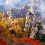 Seoul: Mt. Seoraksan National Park Autumn Foliage Day Tour - Who Should Consider This Tour?