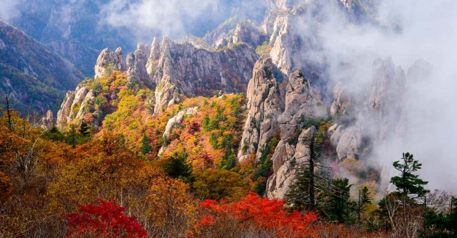 Seoul: Mt. Seoraksan National Park Autumn Foliage Day Tour - Who Should Consider This Tour?