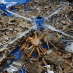 Seoul: Sokcho beach, market, hot spring and Seorak Cable Car - What You Should Know Before Booking