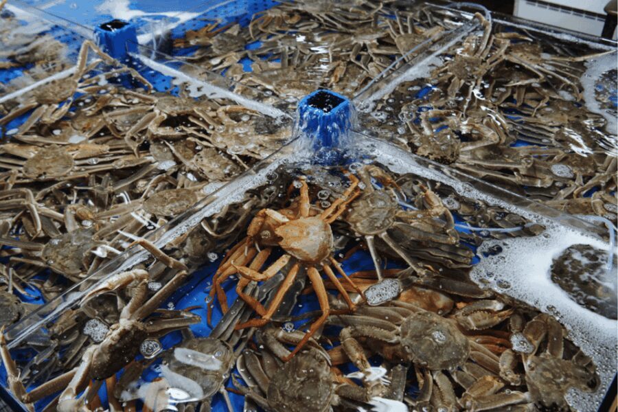 Seoul: Sokcho beach, market, hot spring and Seorak Cable Car - What You Should Know Before Booking