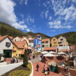 Seoul:Private-Nami Island,Morning Calm Garden,Petite France - Why This Tour Works Well for Different Travelers