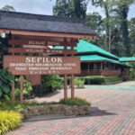 Sepilok OrangUtan, Sun Bear & Labuk Bay Full Day Trip - Wildlife Watching and Conservation Insights