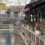 Shanghai Authentic Fengjing Watertown Private Tour - What the Reviews Say: Authenticity, Guides, and Food