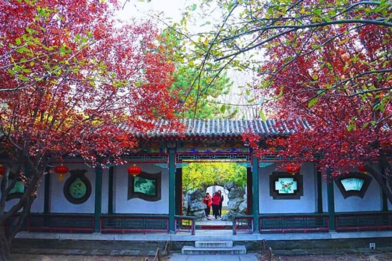 Shanghai: Old Town Half-Day Vintage Bike Tour (Night Option) - Who Is This Tour Best For?