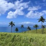 Siargao: Private Corregidor Island Tour - What to Expect From This Private Tour