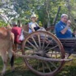 Siem Reap: Homestay Experience with Local style - Exploring the village on an ox-cart