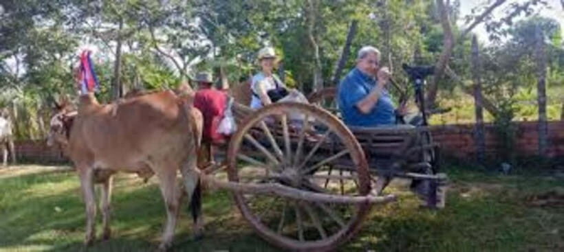 Siem Reap: Homestay Experience with Local style - Exploring the village on an ox-cart