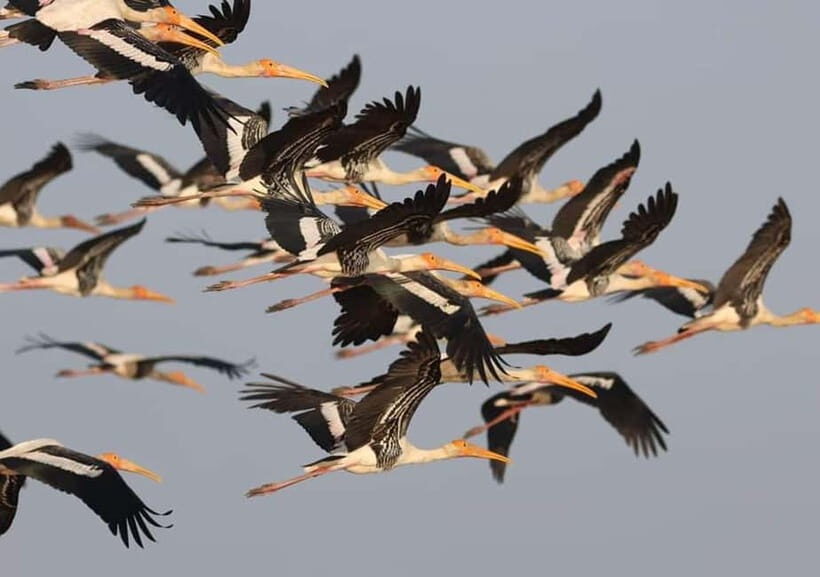 Siem Reap Nature & Cultural Safari Cycling Adventure - What’s Included and What’s Not