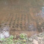 Siem Reap to Phnom Kulen: Waterfalls & 1000 Lingas Tour - The Reclining Buddha and Spiritual Sites