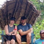 Sigiriya Rock, Village Tour and Wild Elephant Safari Sri Lanka - Key Points