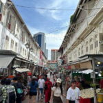 Singapore Car Tour: Chinatown/Haji Lane/Joo Chiat - Authentic Insights from Past Travelers