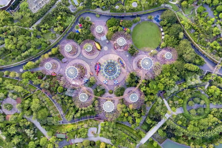 Singapore: Gardens by the Bay Accessible Guided Tour - An In-Depth Look at the Gardens by the Bay Accessible Guided Tour