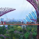 Singapore OCBC Skyway Flower dome Cloud Forest Garden by the Bay - Practical Details and Tips