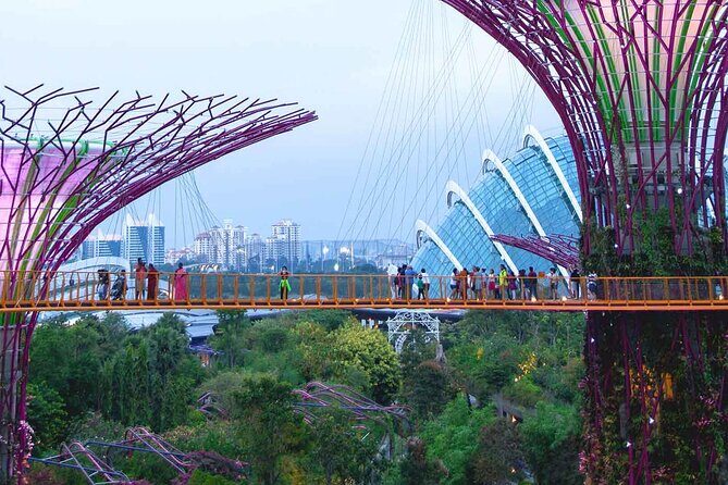 Singapore OCBC Skyway Flower dome Cloud Forest Garden by the Bay - Practical Details and Tips