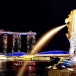 Singapore Private Customized City Tour with Driver - Why This Tour Works for Different Travelers