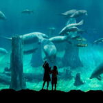 Singapore: River Wonders Entry Ticket - Who Would Love River Wonders?