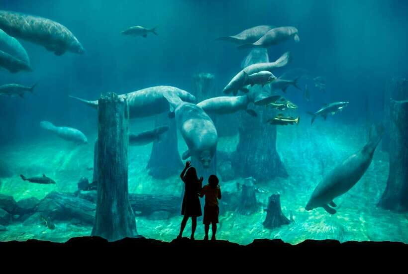 Singapore: River Wonders Entry Ticket - Who Would Love River Wonders?