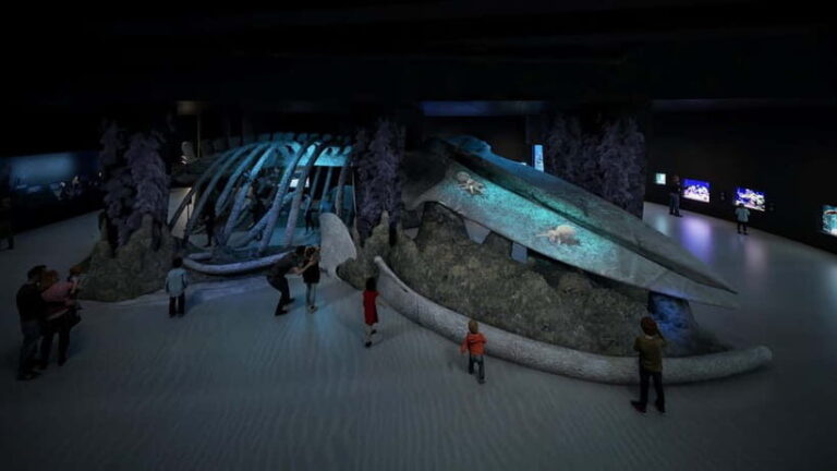 Singapore: Singapore Oceanarium Entrance E-Ticket - Who Would Enjoy the Singapore Oceanarium?