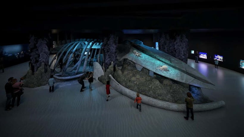 Singapore: Singapore Oceanarium Entrance E-Ticket - Who Would Enjoy the Singapore Oceanarium?