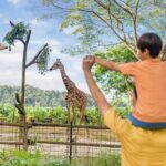 Singapore Zoo Entry Ticket - Why We Think Its a Great Choice
