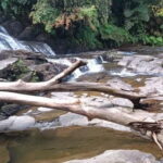 Sinharaja Rainforest: Tour with 5 Waterfalls Trek - The Local Village Lunch