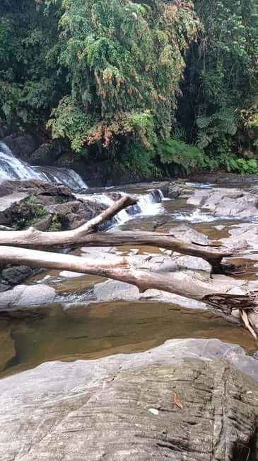 Sinharaja Rainforest: Tour with 5 Waterfalls Trek - The Local Village Lunch