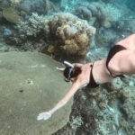 Siquijor: Jeepney Island Tour with Snorkeling - What to Expect and Tips for a Smooth Experience