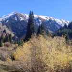 Skyline Hike in Almaty: Bukreev Peak - The Value of the Experience