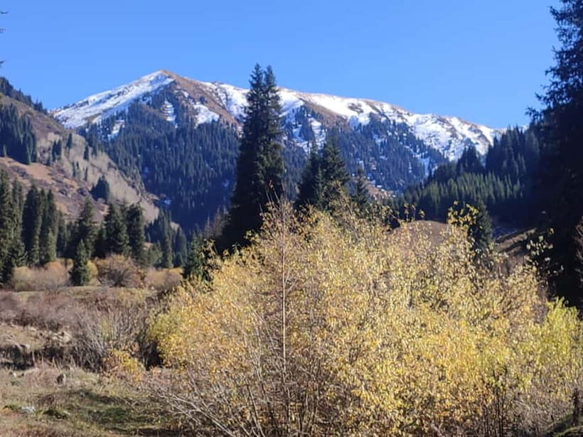 Skyline Hike in Almaty: Bukreev Peak - The Value of the Experience