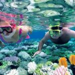 Snorkeling 4 Spot With Manta Bay Or Optional Land Trip - Final Thoughts