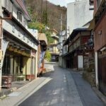 Snow Monkey Park, Soba Lunch and Shibu Onsen Tour - What Makes This Tour Special?