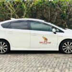 Sri Lanka Car and Driver Hire - Private Driver and Chauffeur - Breaking Down the Day-to-Day Experience