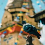 Swayambhunath: Sunset and City Lights Tour - An In-Depth Look at the Swayambhunath Sunset and City Lights Tour