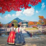 Tailored Private Tour from Seoul - What Makes This Tour Special?