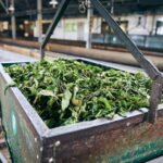 Taipei: Daxi Old Street and Tea Factory, Xiaowulai Day Tour - Practical Tips for Travelers