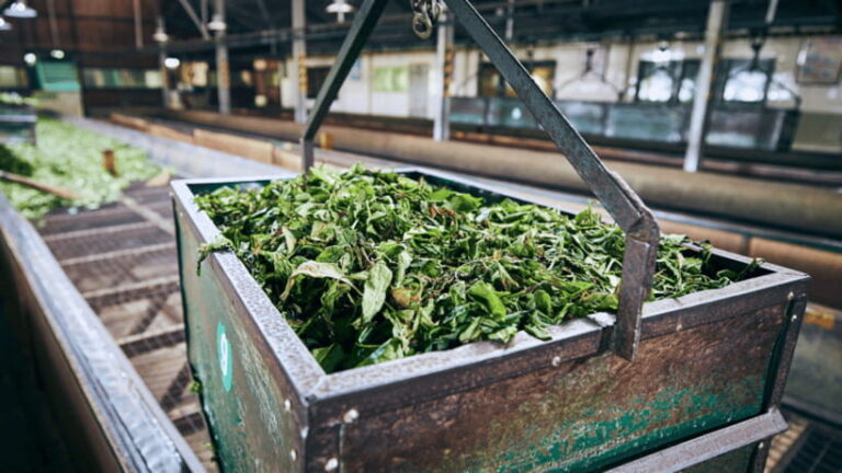 Taipei: Daxi Old Street and Tea Factory, Xiaowulai Day Tour - Practical Tips for Travelers